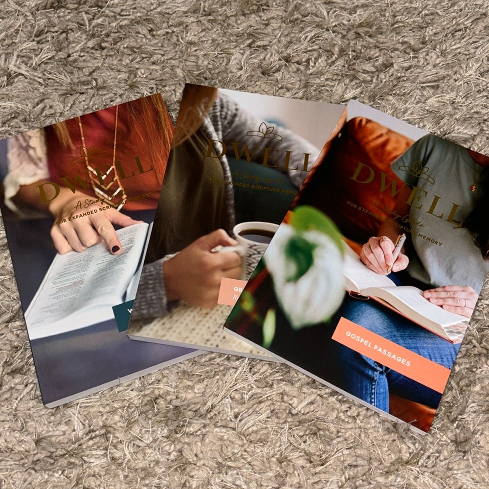 Dwell Bible study guide from daily Grace co bundle